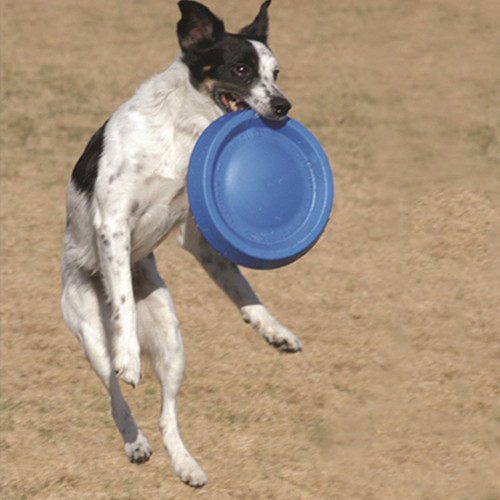 Frisbee til Hunde – Flyvende Discs Frisbee til Hunde – Flyvende Discs
